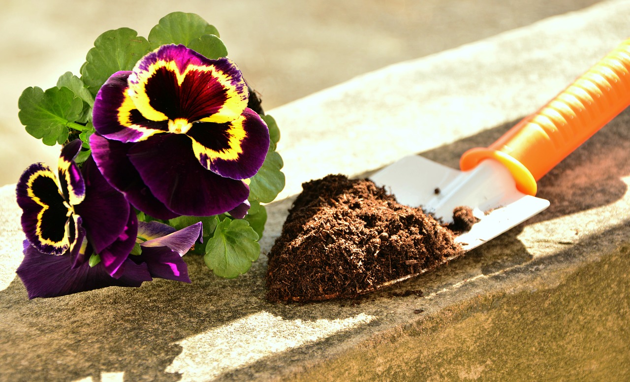 Cómo cuidar tu jardín en primavera