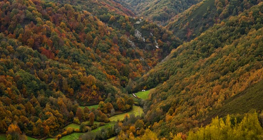 Rutas en otoño en Asturias - Inmobiliaria en Asturias